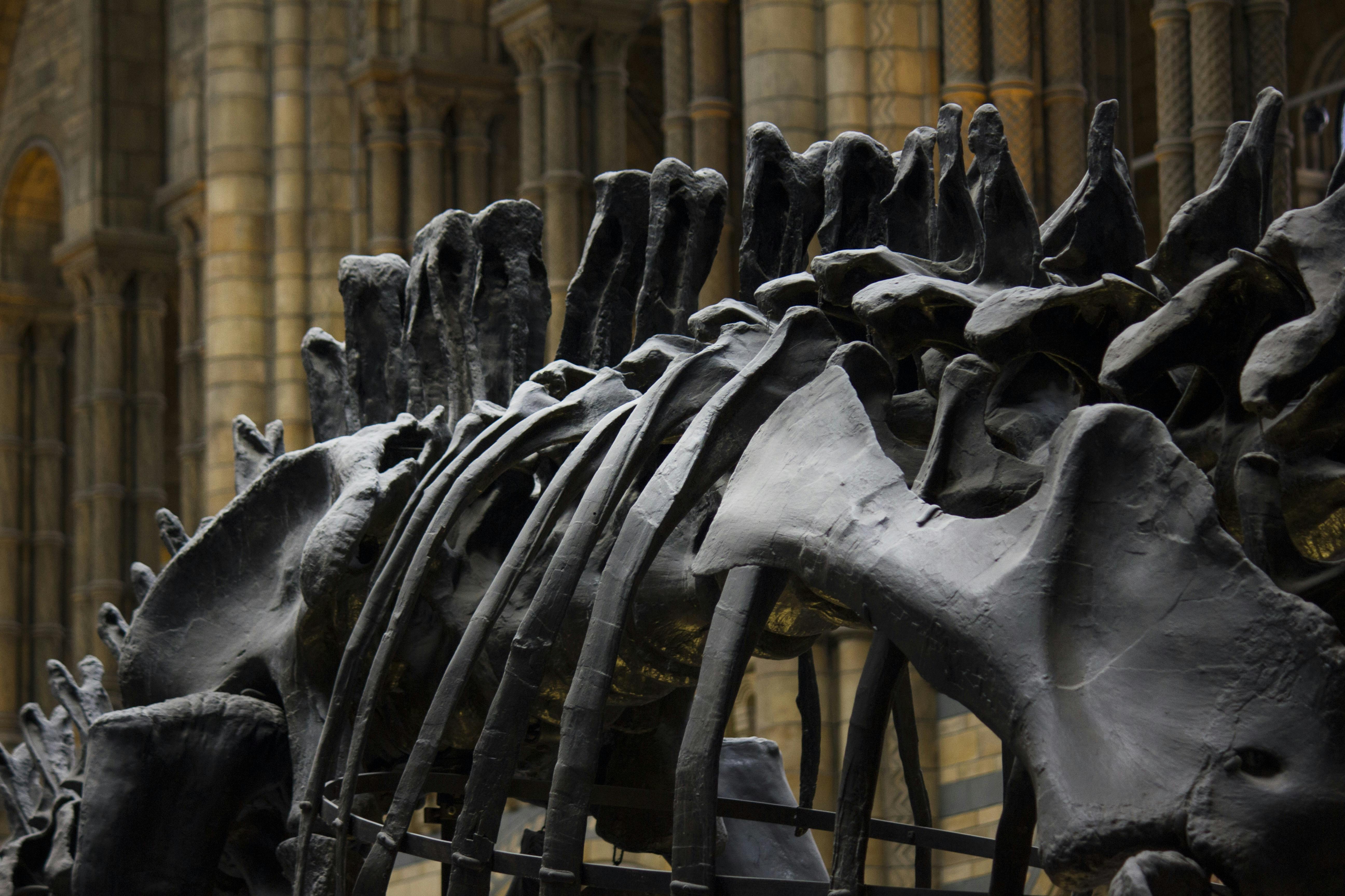 From Prehistoric CRM to Virtual Personal Assistant